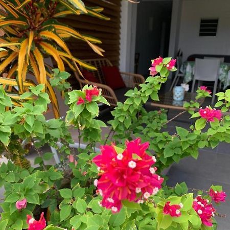 Le Tropical Appartement 1 Ou 2 Chambres Les Anses-d'Arlet Exterior foto